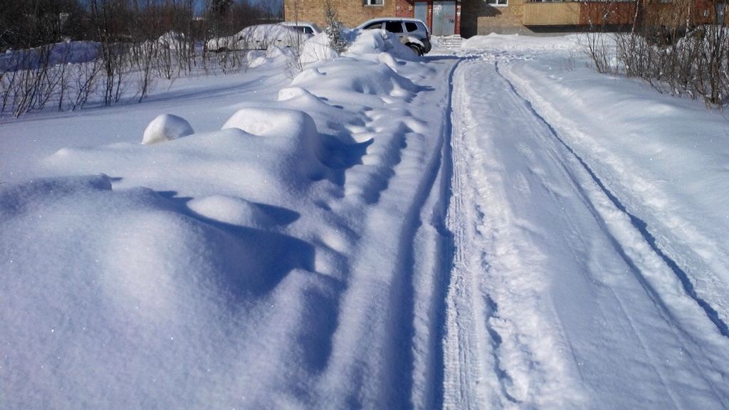 Весны не будет.jpg