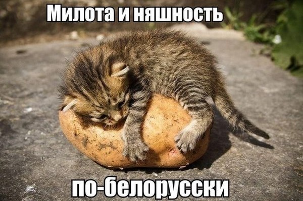 DKKyaAi092k.jpg