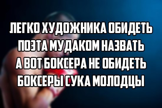Боксеры.jpg